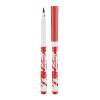 Flamastry Colorpeps Brush 10 sztuk
